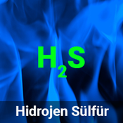 H2S Hidrojen Sülfür Gaz Dedektörü
